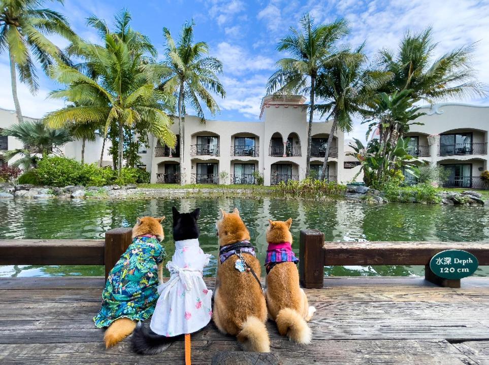Promisedland Resort & Lagoon Shoufeng Exterior photo Pets at the hotel